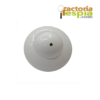 Plantilla